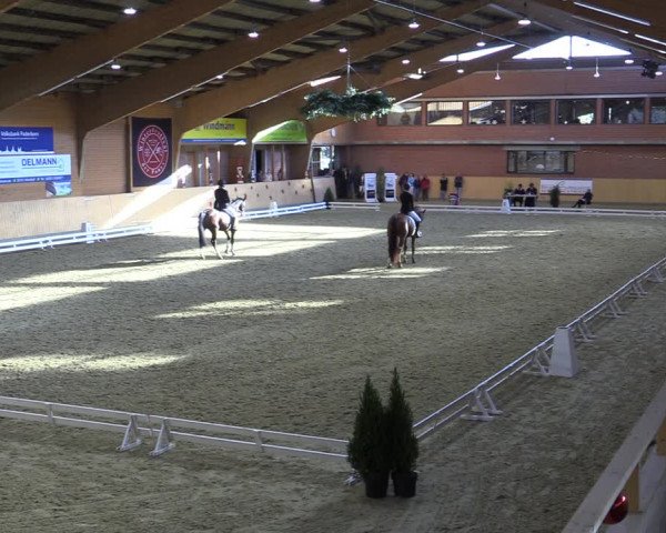 Reitturnier Paderborn 2022