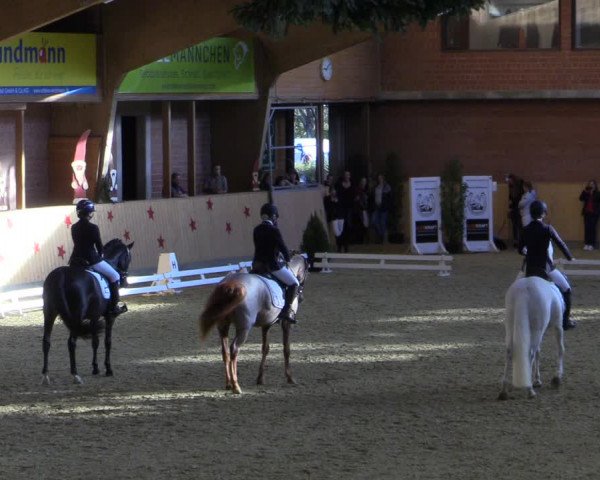 Reitturnier Paderborn 2022