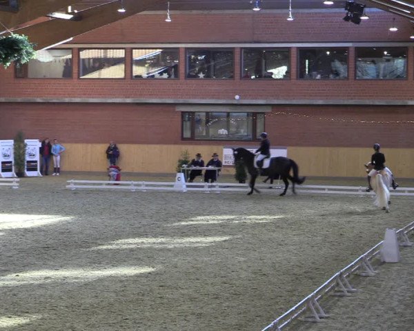 Reitturnier Paderborn 2022