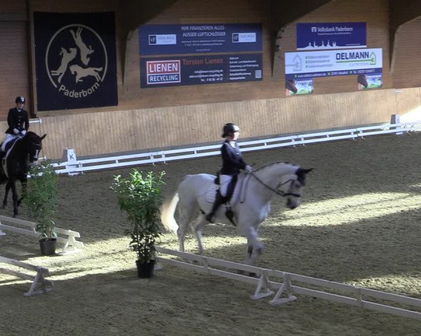 Reitturnier Paderborn 2022