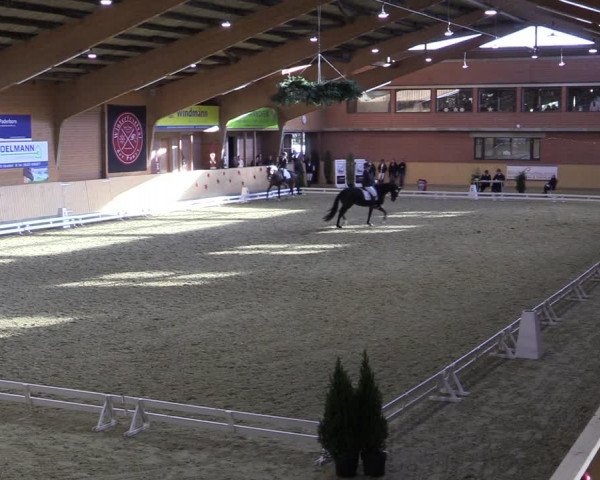 Reitturnier Paderborn 2022