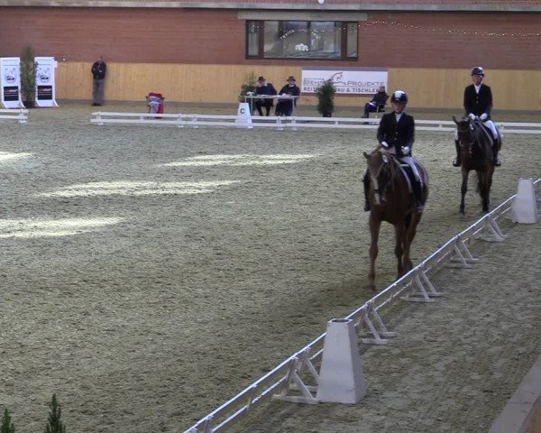 Reitturnier Paderborn 2022