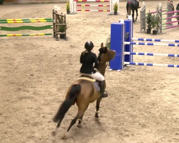 Reitturnier Rüti 2022