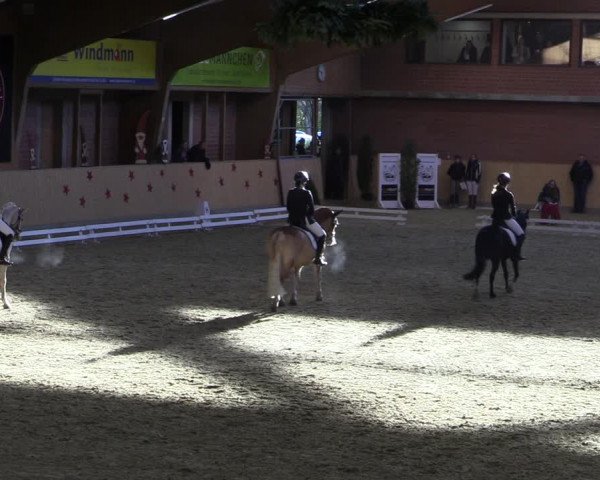 Reitturnier Paderborn 2022