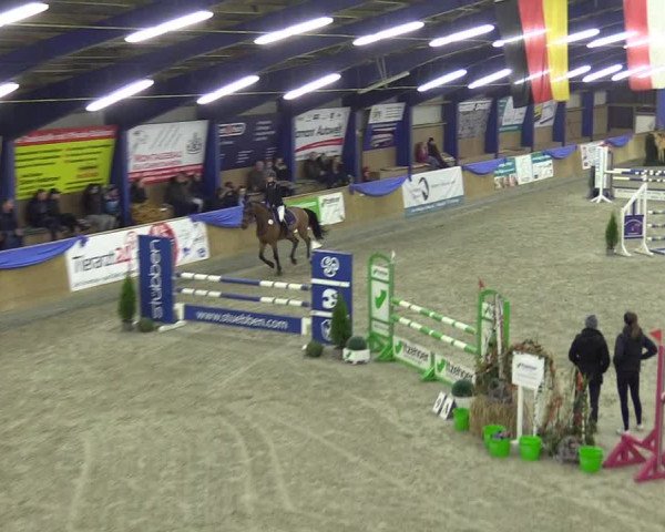Reitturnier Großenwiehe 2022