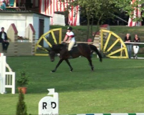 jumper Classic Lady (Hanoverian, 2001, from Landclassic)