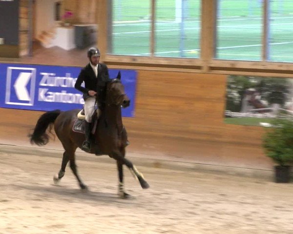 Reitturnier Rüti 2022