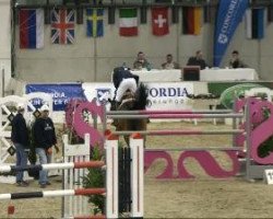 jumper Cuincy (Holsteiner, 2002, from Calato)