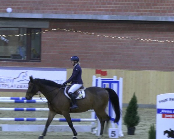 Reitturnier Paderborn 2022