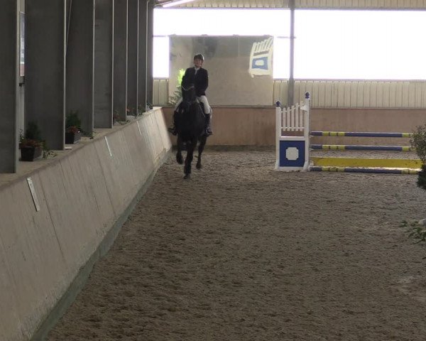 Reitturnier Ahaus 2022