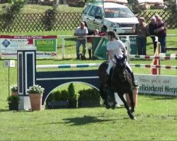 jumper Withney OK (Hanoverian, 1997, from Wanderbursch I)