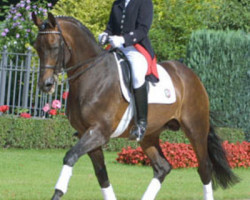 stallion Florestan I (Rhinelander, 1986, from Fidelio)
