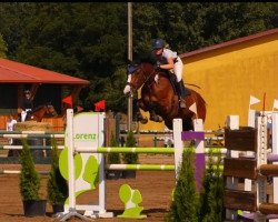 jumper Candora Walkan (German Sport Horse, 2016, from Eic Caleo)