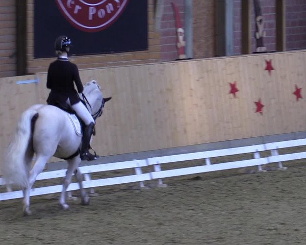 Reitturnier Paderborn 2022