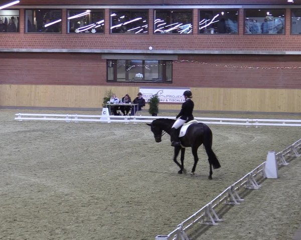 Reitturnier Paderborn 2022