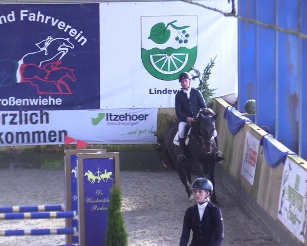 Reitturnier Großenwiehe 2022