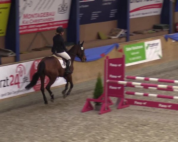 Reitturnier Großenwiehe 2022