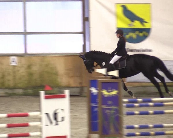 Reitturnier Großenwiehe 2022