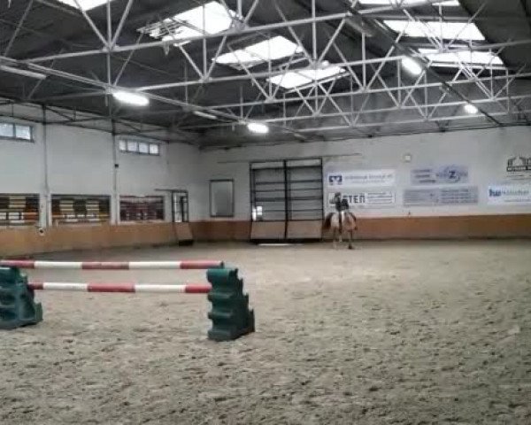 Video of Hobbit 29