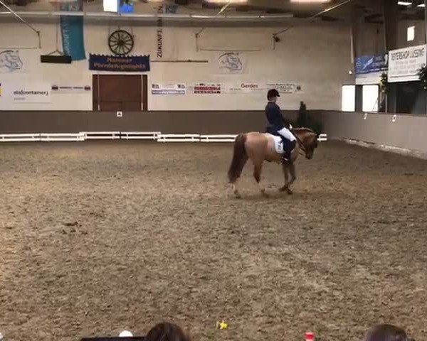 Video of Hobbit 29