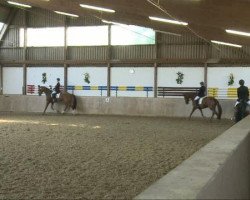 Dressage horse Dorian (German Riding Pony, 1999, from Dressman's Dennis)