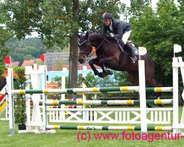 horse Arabiata (Bavarian, 2002, from Alvarez)