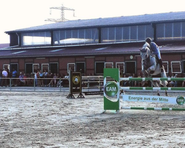 Deckhengst Chereon (Hannoveraner, 2011, von Clinton)