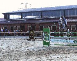 Deckhengst Chereon (Hannoveraner, 2011, von Clinton)