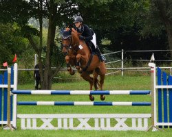jumper Take On Me (Westphalian, 2015, from Tangelo van de Zuuthoeve)