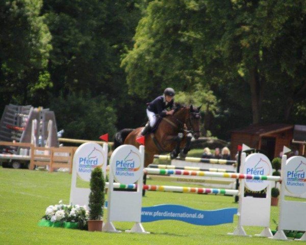 broodmare Calla (German Sport Horse, 2009, from Chap 47)