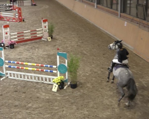 Reitturnier Osterholz 2022