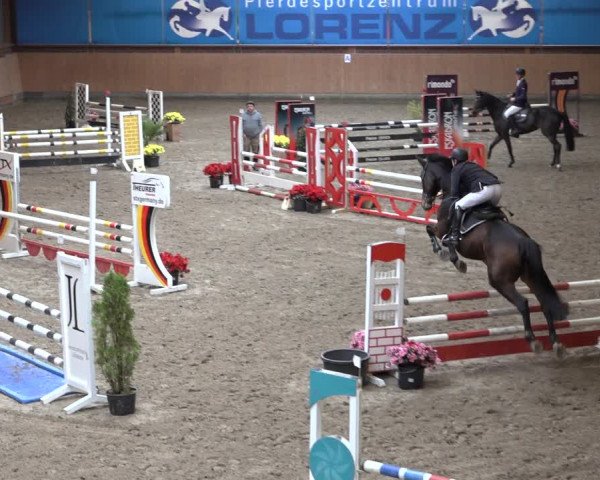 Reitturnier Osterholz 2022
