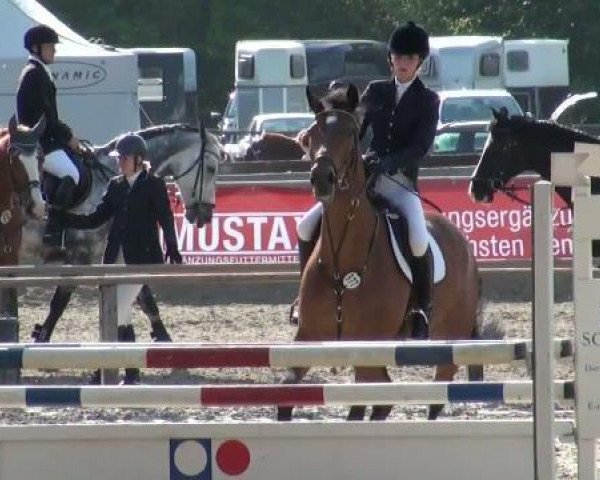 jumper Neandra (Rhinelander, 2005, from No Limit)