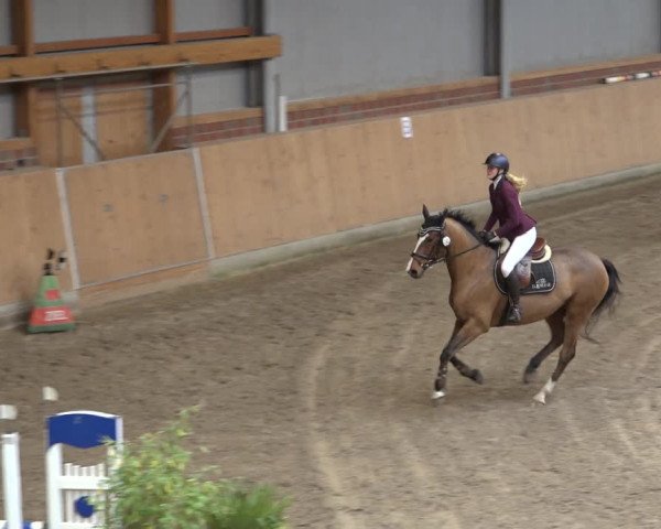 Reitturnier Osterholz 2022