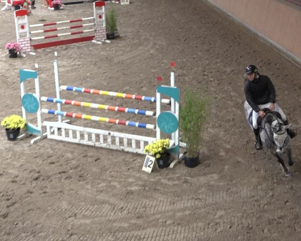 Reitturnier Osterholz 2022