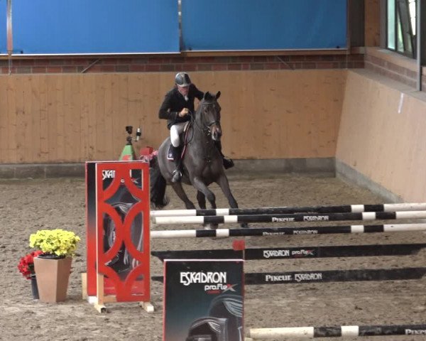 Reitturnier Osterholz 2022