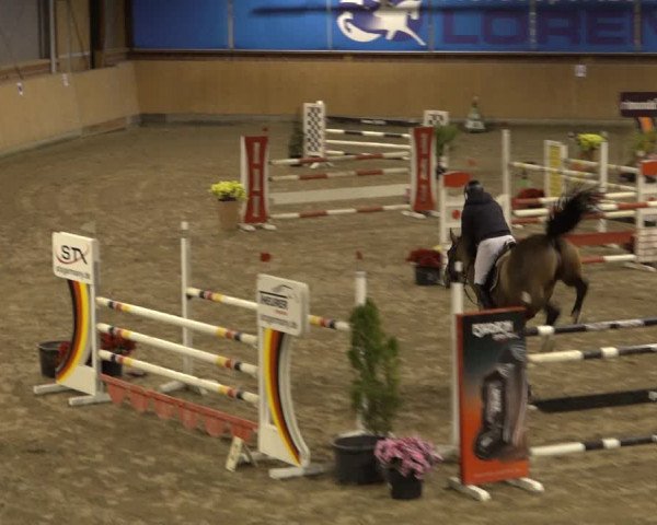 Reitturnier Osterholz 2022