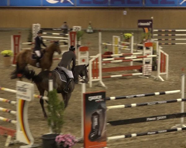 Reitturnier Osterholz 2022