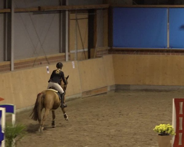 Reitturnier Osterholz 2022
