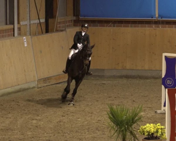 Reitturnier Osterholz 2022
