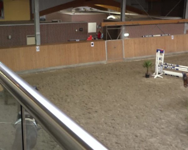 Reitturnier Osterholz 2022