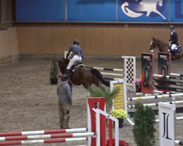 Reitturnier Osterholz 2022
