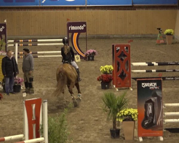 Reitturnier Osterholz 2022