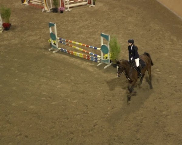 Reitturnier Osterholz 2022