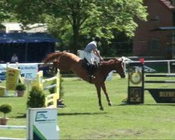 jumper Ricardo 424 (KWPN (Royal Dutch Sporthorse), 1998)