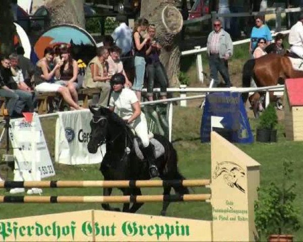 broodmare Palme (Sachse, 2001, from L'Ami) broodmare Palme (Sachse, 2001, from L'Ami)