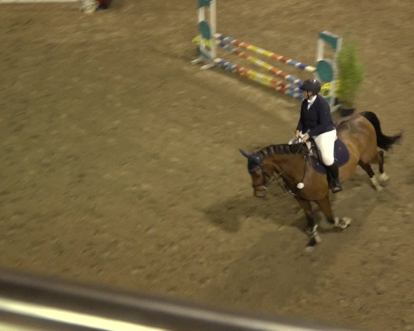 Reitturnier Osterholz 2022