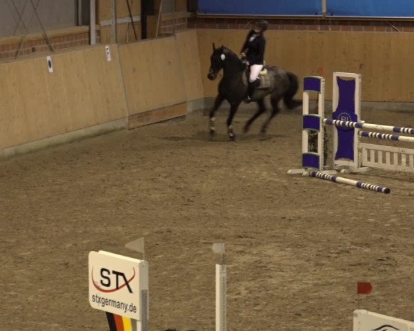 Reitturnier Osterholz 2022
