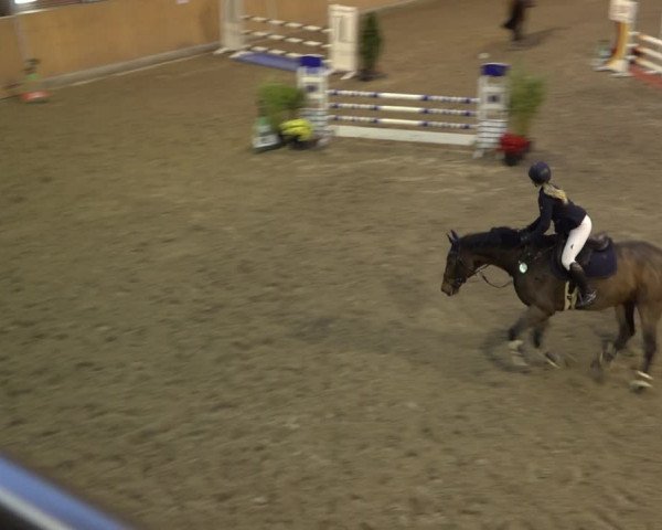 Reitturnier Osterholz 2022