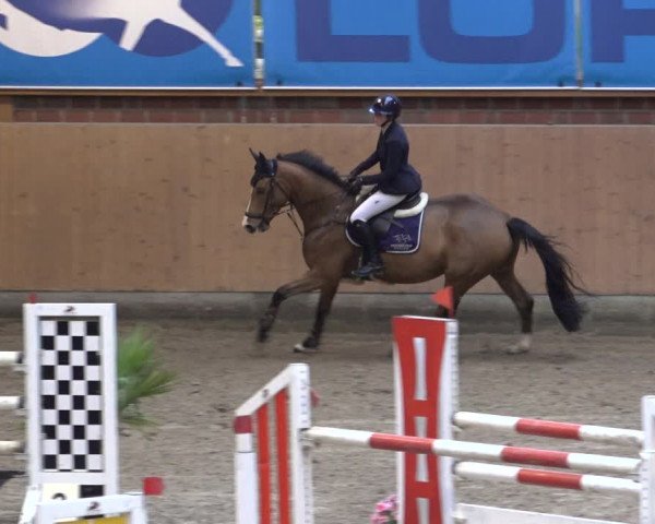 Reitturnier Osterholz 2022
